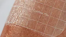 Comfeel® Plus Transparant